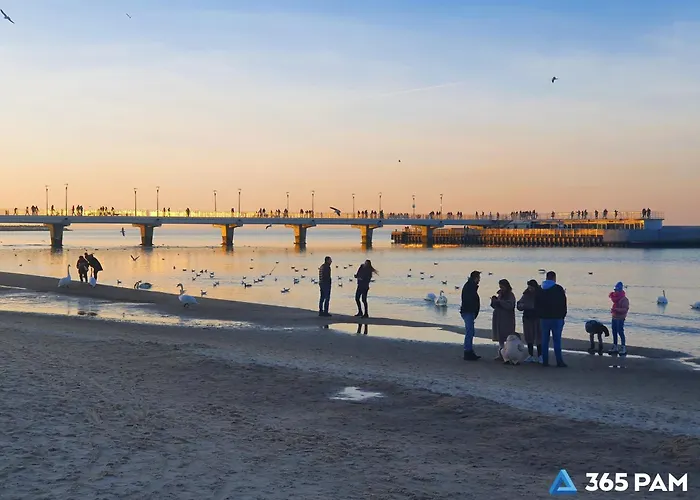 Daire 365pam - Z Basenem Polanki Park *